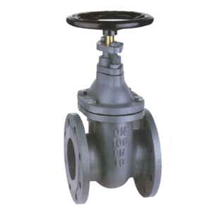 Unbranded Leengate 2.5" Cast Iron Gate Valve - Flanged PN6 V510210
