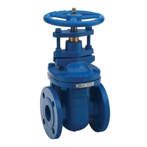 Unbranded Leengate 5" Ductile Iron Gate Valve - Flanged PN16 Bs5150 V516013